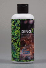 Fauna Marin Dino X